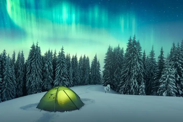 Framed Print : Aurora borealis. Northern lights in winter forest. Sky with polar lights and stars. Night winter landscape with aurora Framed Print : Aurora borealis. Northern lights in winter forest. Sky with polar lights and stars. Night winter landscape with aurora