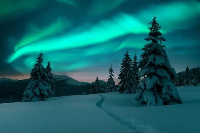 Framed Print : Aurora borealis. Northern lights in winter forest. Sky with polar lights and stars. Night winter landscape with aurora and pine tree forest Framed Print : Aurora borealis. Northern lights in winter forest. Sky with polar lights and stars. Night winter landscape with aurora and pine tree forest