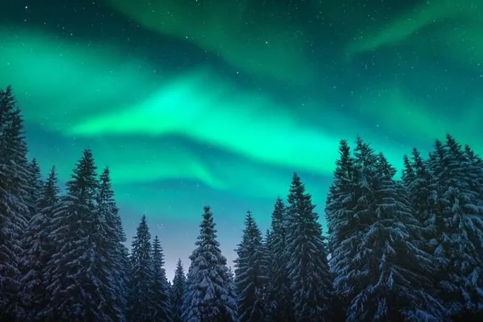 Framed Print : Aurora borealis. Northern lights in winter forest. Sky with polar lights and stars. Night winter landscape with aurora and pine tree forest Framed Print : Aurora borealis. Northern lights in winter forest. Sky with polar lights and stars. Night winter landscape with aurora and pine tree forest