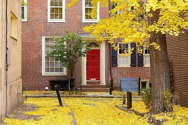 Autumn alleyway in a traditional neighborhood in Philadelphia, Pennsylvania, USA
