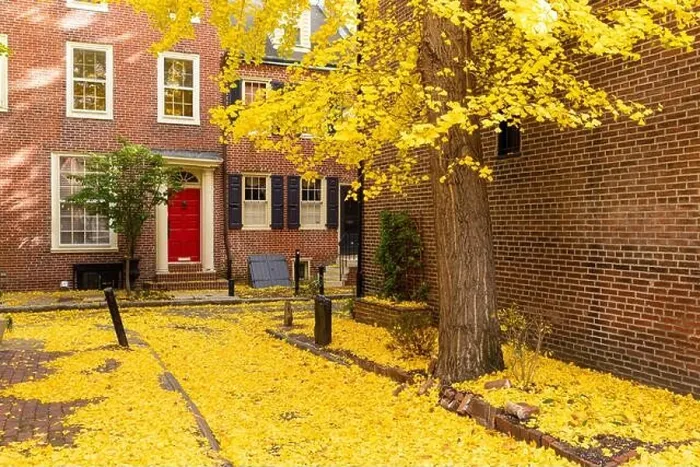 Framed Print : Autumn alleyway in a traditional neighborhood in Philadelphia, Pennsylvania, USA Framed Print : Autumn alleyway in a traditional neighborhood in Philadelphia, Pennsylvania, USA