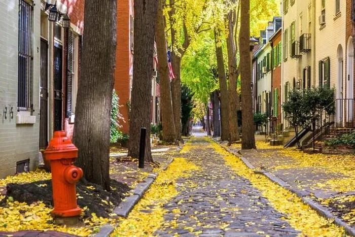 Framed Print : Autumn alleyway in a traditional neighborhood in Philadelphia, Pennsylvania, USA Framed Print : Autumn alleyway in a traditional neighborhood in Philadelphia, Pennsylvania, USA
