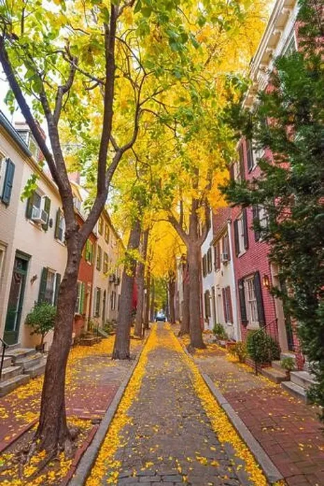 Framed Print : Autumn alleyway in a traditional neighborhood in Philadelphia, Pennsylvania, USA Framed Print : Autumn alleyway in a traditional neighborhood in Philadelphia, Pennsylvania, USA