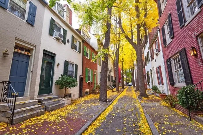 Framed Print : Autumn alleyway in a traditional neighborhood in Philadelphia, Pennsylvania, USA Framed Print : Autumn alleyway in a traditional neighborhood in Philadelphia, Pennsylvania, USA