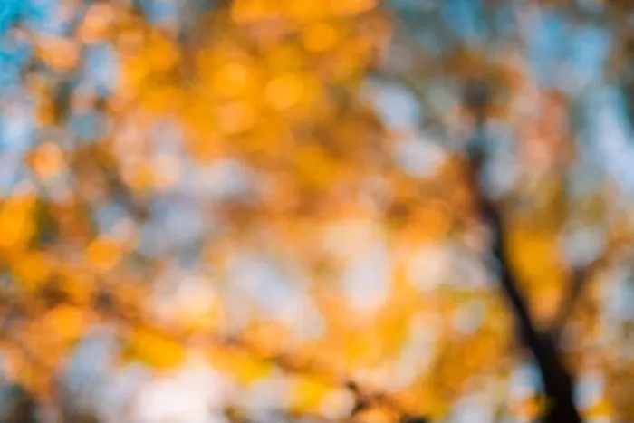 Framed Print : Autumn background blurred orange. Bokeh autumn park background, dream peaceful bokeh autumn colors Framed Print : Autumn background blurred orange. Bokeh autumn park background, dream peaceful bokeh autumn colors