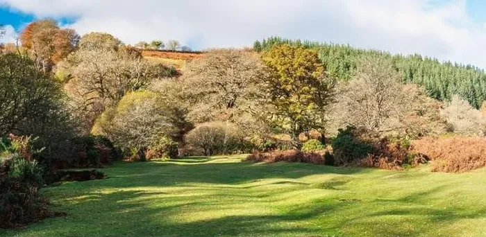 Framed Print : Autumn Colours over River Dart from a drone, Dartmoor Park, Devon, England, Europe Framed Print : Autumn Colours over River Dart from a drone, Dartmoor Park, Devon, England, Europe