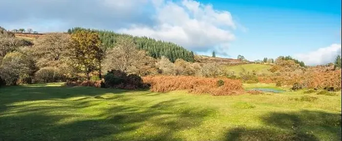 Framed Print : Autumn Colours over River Dart from a drone, Dartmoor Park, Devon, England, Europe Framed Print : Autumn Colours over River Dart from a drone, Dartmoor Park, Devon, England, Europe