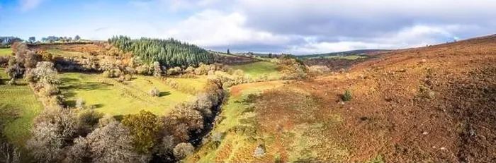 Framed Print : Autumn Colours over River Dart from a drone, Dartmoor Park, Devon, England, Europe Framed Print : Autumn Colours over River Dart from a drone, Dartmoor Park, Devon, England, Europe