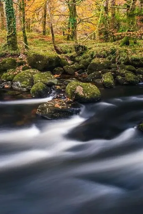 Framed Print : Autumn Colours over River Dart in long exposure, Dartmoor Park, Devon, England, Europe Framed Print : Autumn Colours over River Dart in long exposure, Dartmoor Park, Devon, England, Europe