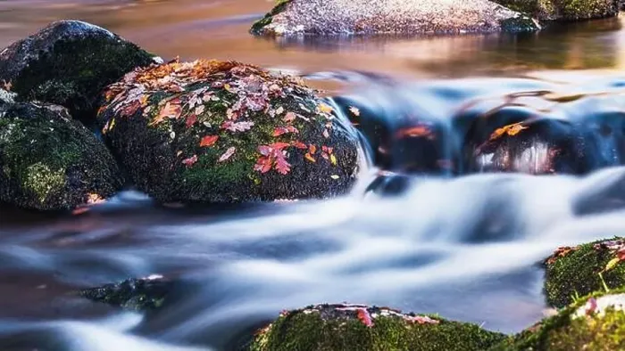 Framed Print : Autumn Colours over River Dart in long exposure, Dartmoor Park, Devon, England, Europe Framed Print : Autumn Colours over River Dart in long exposure, Dartmoor Park, Devon, England, Europe