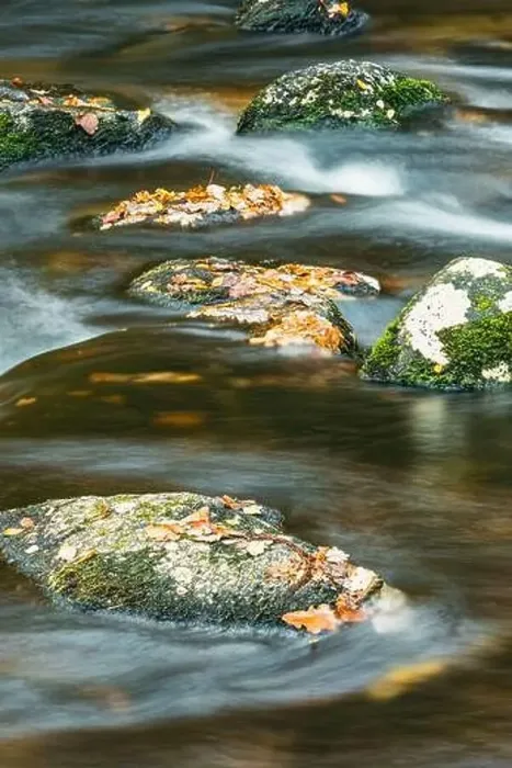Framed Print : Autumn Colours over River Dart in long exposure, Dartmoor Park, Devon, England, Europe Framed Print : Autumn Colours over River Dart in long exposure, Dartmoor Park, Devon, England, Europe