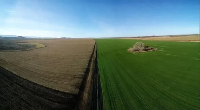 Framed Print : Two autumn fields with winter and spring wheat are separated by the road. Aerial photography from a quadcopter Framed Print : Two autumn fields with winter and spring wheat are separated by the road. Aerial photography from a quadcopter