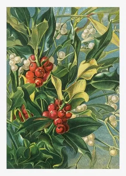 Framed Print : Autumn Flowers. Seasonal illustration of The illustrated London Almanack (1845 to 1895) Framed Print : Autumn Flowers. Seasonal illustration of The illustrated London Almanack (1845 to 1895)
