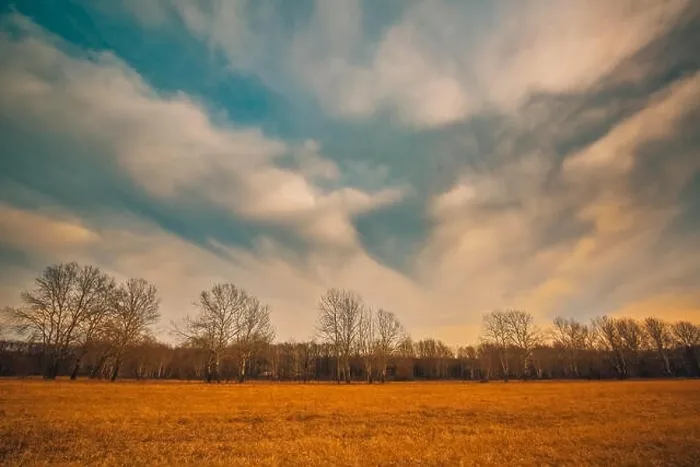 Framed Print : Autumn landscape and dramatic sky. Trees and meadow field under cloudy sky Framed Print : Autumn landscape and dramatic sky. Trees and meadow field under cloudy sky