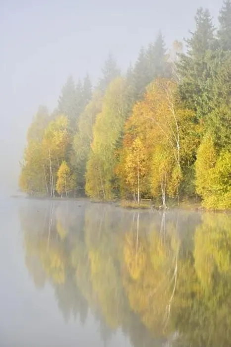 Framed Print : Autumn landscape in the mountains with trees reflecting in the water at St. Ana's lake, Romania Framed Print : Autumn landscape in the mountains with trees reflecting in the water at St. Ana's lake, Romania
