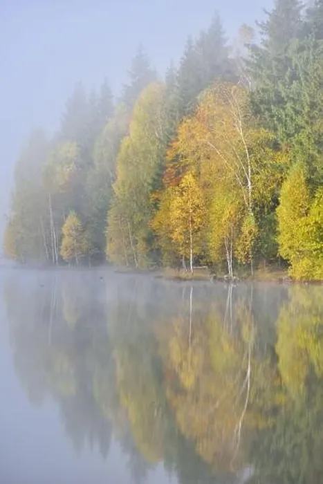 Framed Print : Autumn landscape in the mountains with trees reflecting in the water at St. Ana's lake, Romania