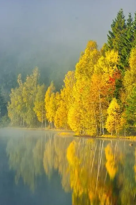Framed Print : Autumn landscape in the mountains with trees reflecting in the water at St. Ana's lake, Romania Framed Print : Autumn landscape in the mountains with trees reflecting in the water at St. Ana's lake, Romania