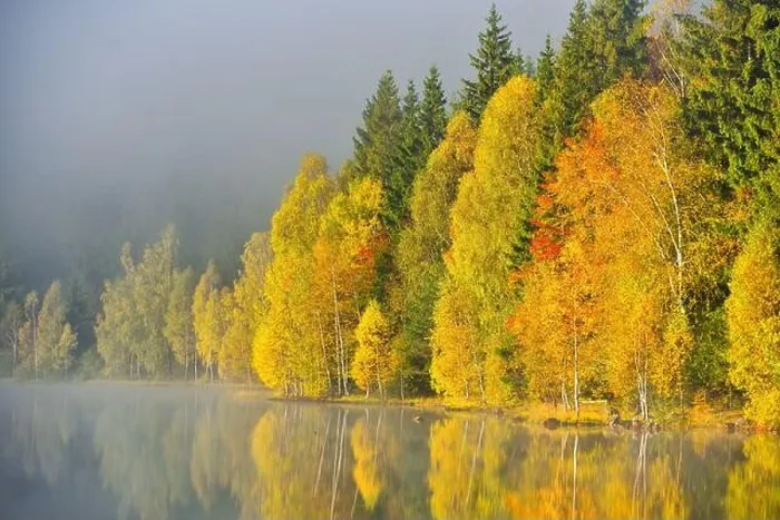 Framed Print : Autumn landscape in the mountains with trees reflecting in the water at St. Ana's lake, Romania Framed Print : Autumn landscape in the mountains with trees reflecting in the water at St. Ana's lake, Romania