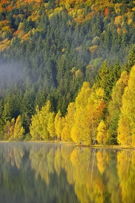Framed Print : Autumn landscape in the mountains with trees reflecting in the water at St. Ana's lake, Romania Framed Print : Autumn landscape in the mountains with trees reflecting in the water at St. Ana's lake, Romania