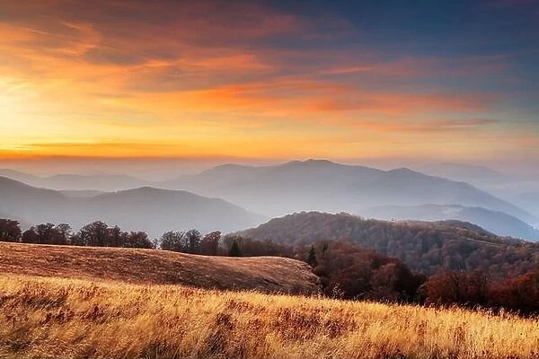 Autumn mountains with orange forest during sunset. Landscape photography