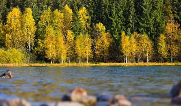 Framed Print : Autumn park landscape. The bright colors of autumn in the park by the lake Framed Print : Autumn park landscape. The bright colors of autumn in the park by the lake