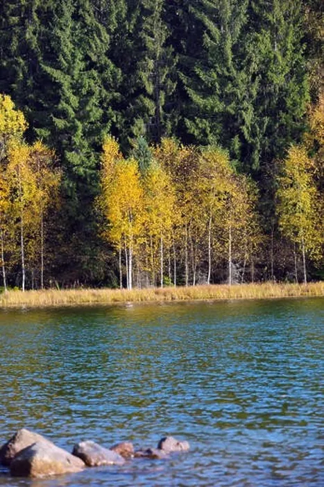 Framed Print : Autumn park landscape. The bright colors of autumn in the park by the lake Framed Print : Autumn park landscape. The bright colors of autumn in the park by the lake