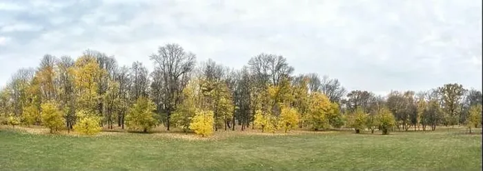 Framed Print : autumn park landscape. trees in yellow and orange colors on cloudy sky background. panoramic drone photo Framed Print : autumn park landscape. trees in yellow and orange colors on cloudy sky background. panoramic drone photo