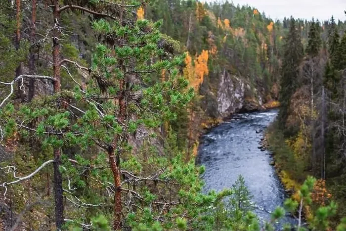 Framed Print : Autumn view of Oulanka National Park Framed Print : Autumn view of Oulanka National Park