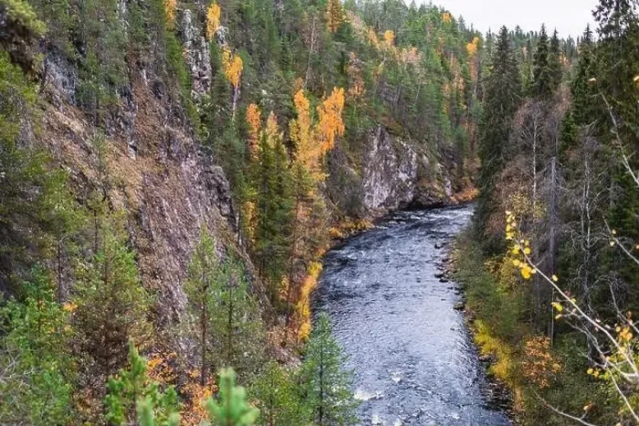 Framed Print : Autumn view of Oulanka National Park Framed Print : Autumn view of Oulanka National Park