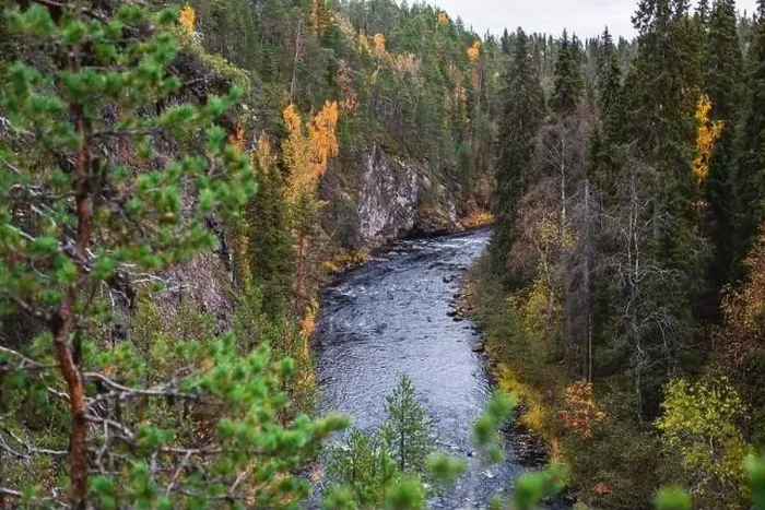 Framed Print : Autumn view of Oulanka National Park Framed Print : Autumn view of Oulanka National Park