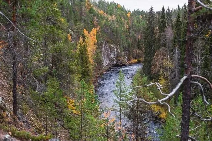 Framed Print : Autumn view of Oulanka National Park Framed Print : Autumn view of Oulanka National Park