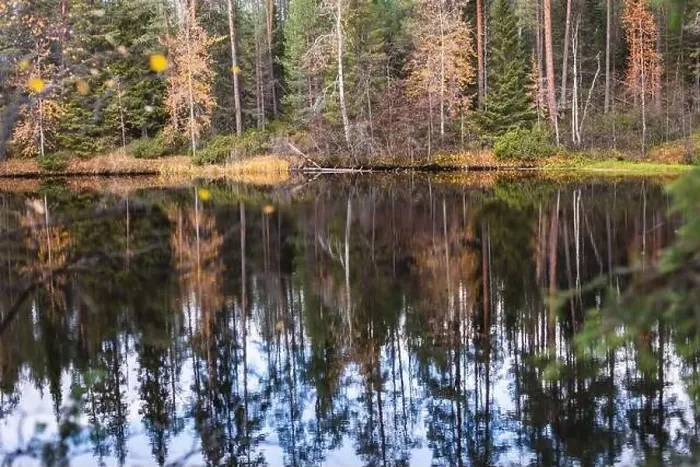 Framed Print : Autumn view of Oulanka National Park Framed Print : Autumn view of Oulanka National Park