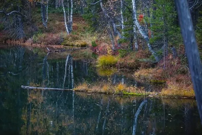 Framed Print : Autumn view of Oulanka National Park Framed Print : Autumn view of Oulanka National Park