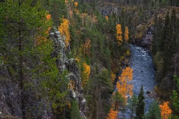 Framed Print : Autumn view of Oulanka National Park Framed Print : Autumn view of Oulanka National Park