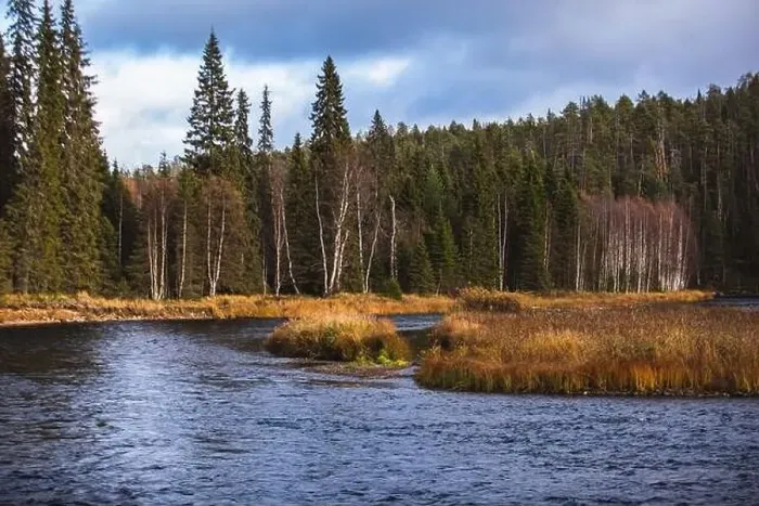 Framed Print : Autumn view of Oulanka National Park Framed Print : Autumn view of Oulanka National Park