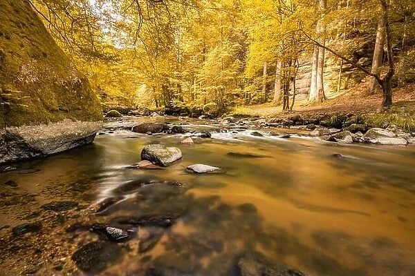 Autumnal forest, rocks covered with moss, fallen leaves. Mountain river with waterfalls at autumn times. Autumn colors, tranquil nature landscape
