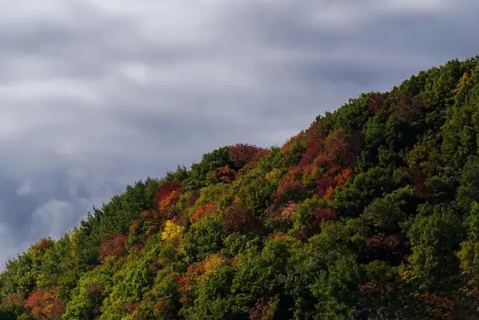 Framed Print : Autumnal Hill by Hwy 138 in Quebec Framed Print : Autumnal Hill by Hwy 138 in Quebec