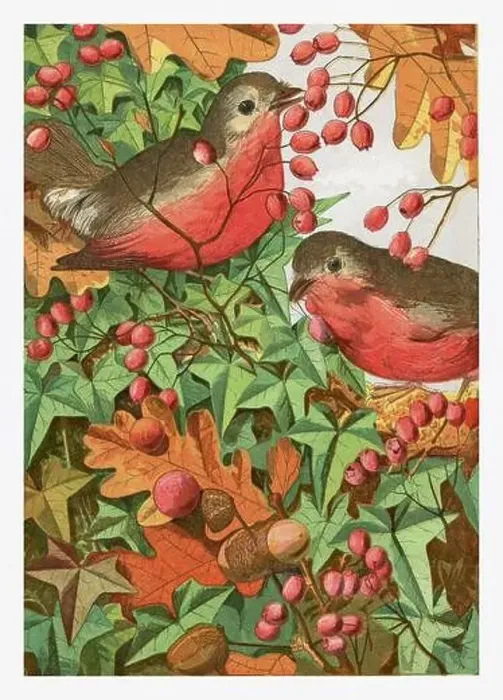 Framed Print : Autumntime plants and birds. Seasonal illustration of The illustrated London Almanack (1845 to 1895) Framed Print : Autumntime plants and birds. Seasonal illustration of The illustrated London Almanack (1845 to 1895)