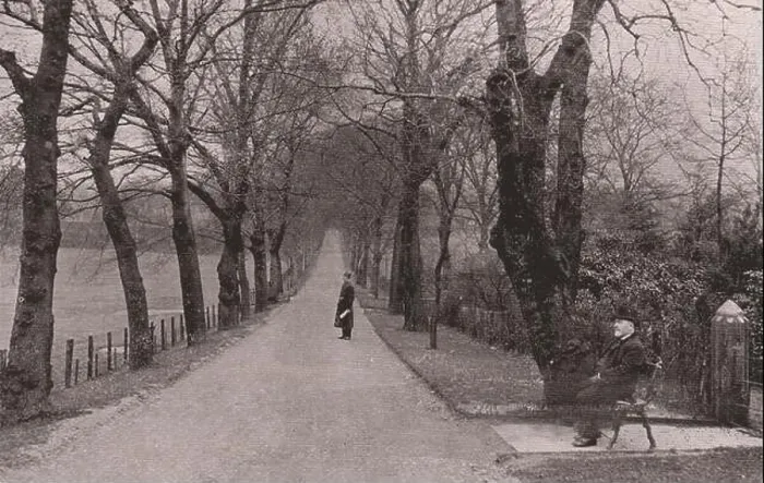 Framed Print : The Avenue, Bellahouston Park Framed Print : The Avenue, Bellahouston Park