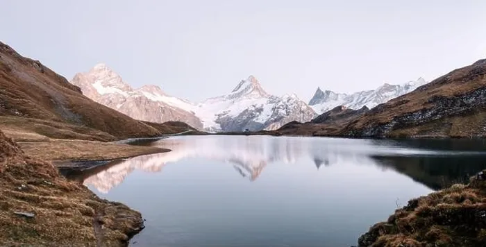 Framed Print : Bachalpsee lake in Swiss Alps mountains. Snowy peaks of Wetterhorn, Mittelhorn and Rosenhorn on background. Grindelwald valley, Switzerland Framed Print : Bachalpsee lake in Swiss Alps mountains. Snowy peaks of Wetterhorn, Mittelhorn and Rosenhorn on background. Grindelwald valley, Switzerland