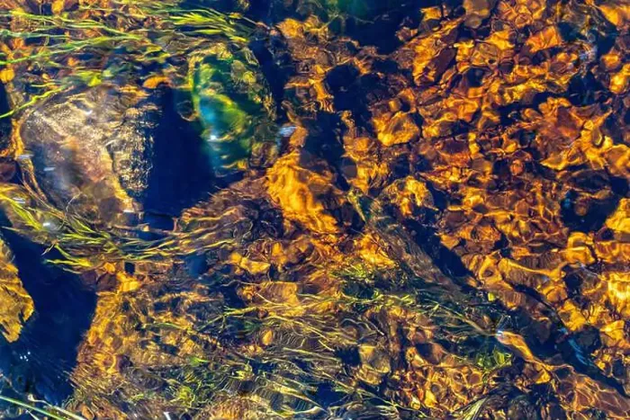 Framed Print : Background. The bottom of the river is with algae and stones Framed Print : Background. The bottom of the river is with algae and stones