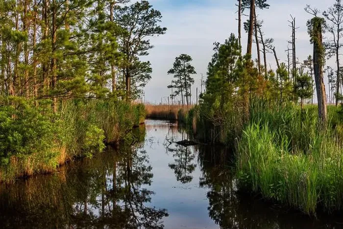 Framed Print : Backwater Reflections at Dusk, Blackwater National Wildlife Refuge MD USA Framed Print : Backwater Reflections at Dusk, Blackwater National Wildlife Refuge MD USA