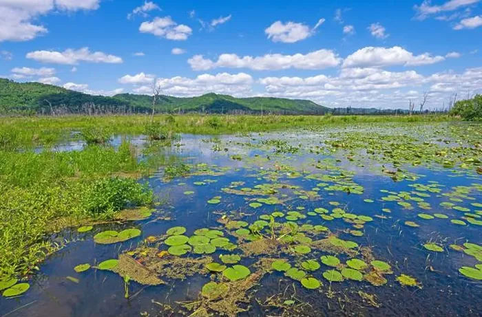 Framed Print : Backwater Wetlands of the Mississippi River in the Trempealeau National Wildlife Refuge in Wisconsin