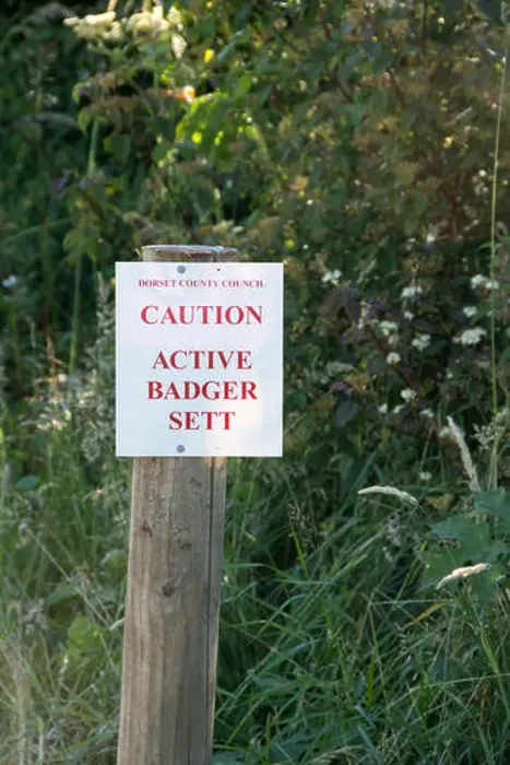 Framed Print : Badger Sett warning sign Framed Print : Badger Sett warning sign