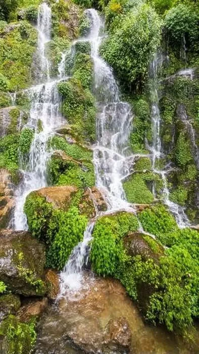 Framed Print : Bakthang Waterfall is a breathtaking cascade located in Sikkim, India. Surrounded by lush forests and mountains Framed Print : Bakthang Waterfall is a breathtaking cascade located in Sikkim, India. Surrounded by lush forests and mountains