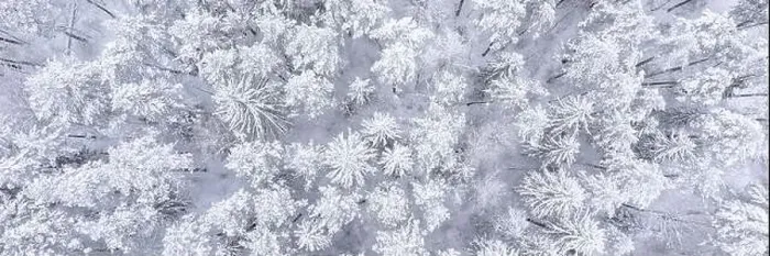 Framed Print : Banner of beautiful landscape with trees under snow Framed Print : Banner of beautiful landscape with trees under snow