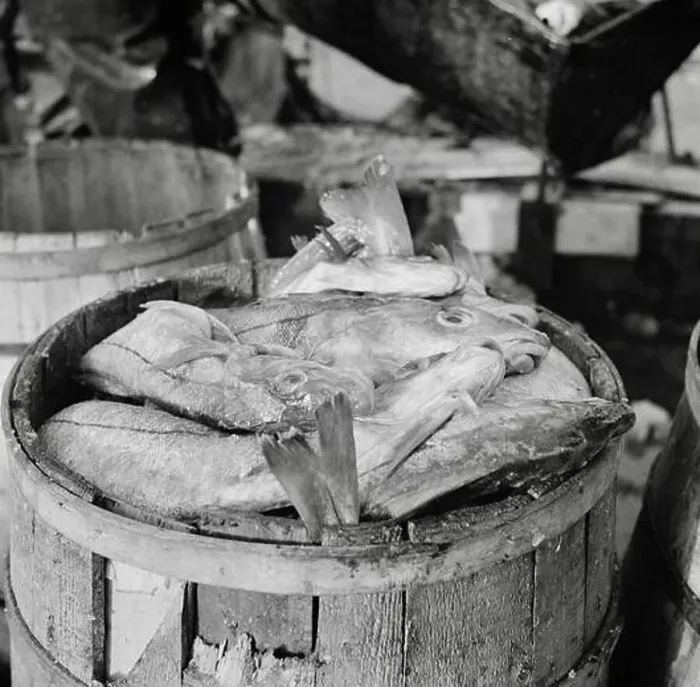 Framed Print : Barrels of codfish, Fulton Fish Market, New York City, May 1943