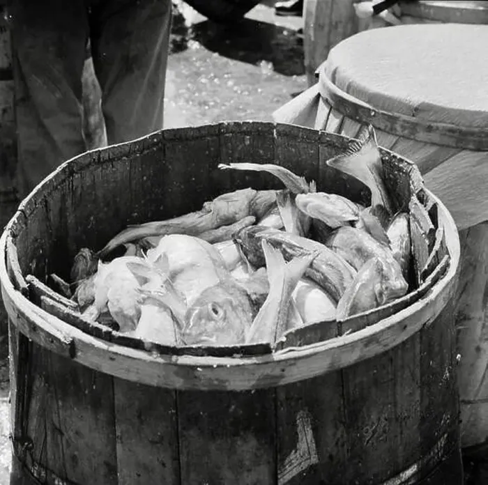 Framed Print : Barrels of codfish, Fulton Fish Market, New York City, May 1943 Framed Print : Barrels of codfish, Fulton Fish Market, New York City, May 1943