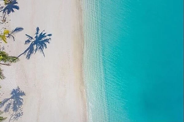 Beach with beautiful coastline. Amazing aerial drone view summer landscape. Color water is turquoise, white sand and palm trees shadows, sunny nature