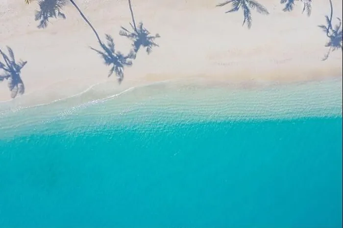 Framed Print : Beach with beautiful coastline. Amazing aerial drone view summer landscape. Color water is turquoise, white sand and palm trees shadows, sunny nature Framed Print : Beach with beautiful coastline. Amazing aerial drone view summer landscape. Color water is turquoise, white sand and palm trees shadows, sunny nature